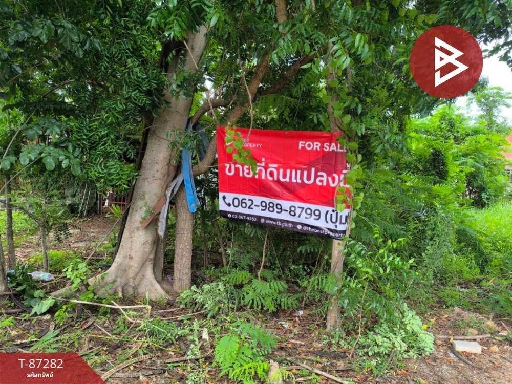 ขายที่ดิน เนื้อที่ 1 งาน หนองจอก กรุงเทพมหานคร