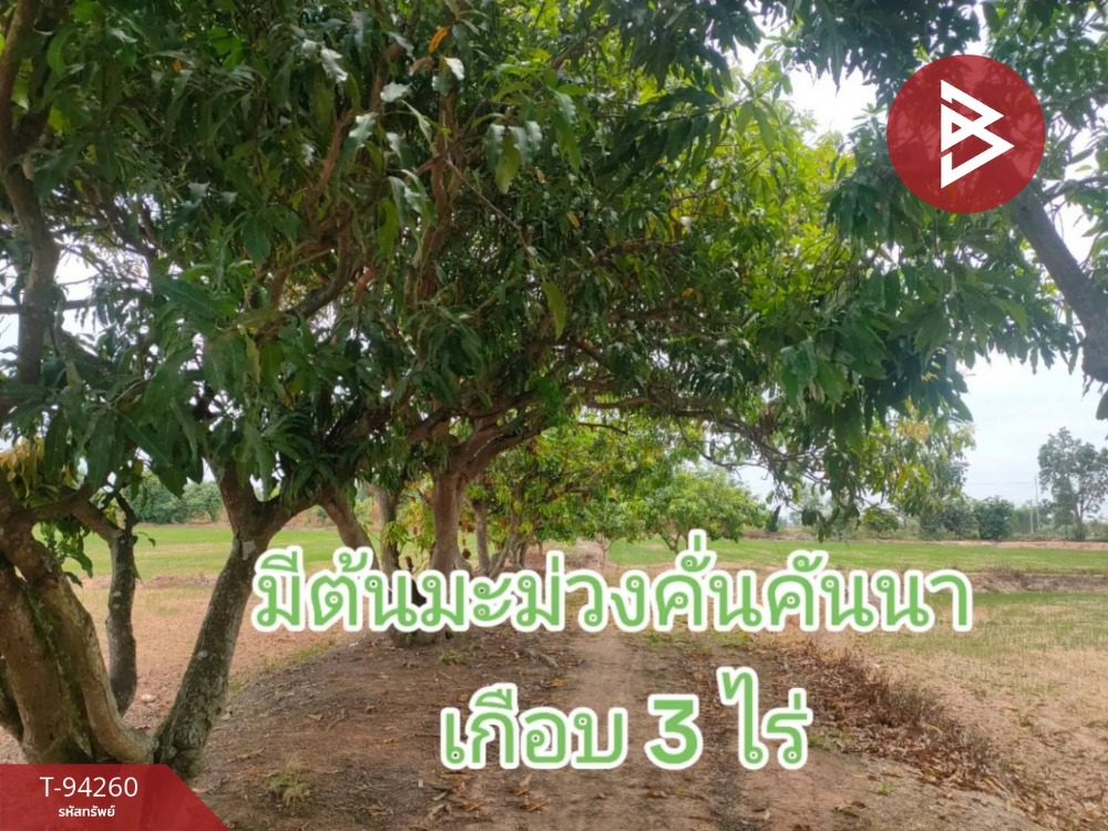 ขายด่วนที่ดินเปล่า เนื้อที่ 64 ไร่ 2 งาน 88 ตร.วา วังทรายพูน พิจิตร