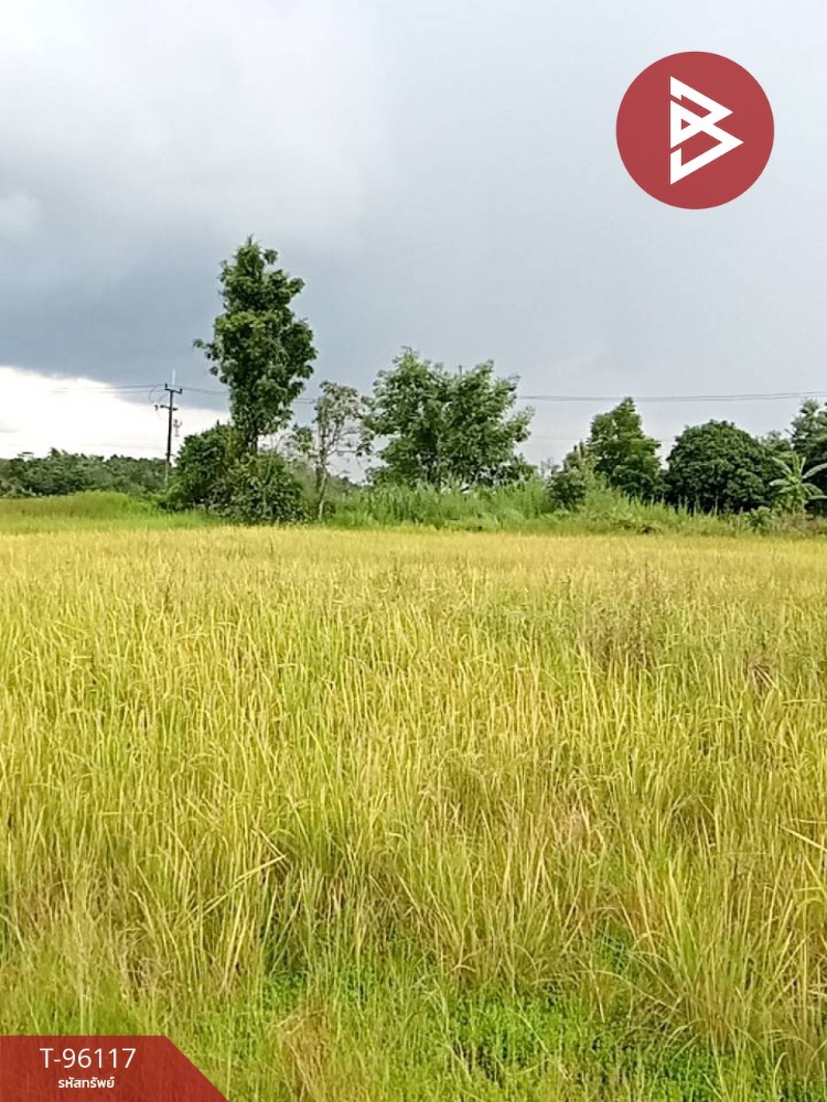 ขายที่ดิน เนื้อที่ 2 งาน นาดี ปราจีนบุรี