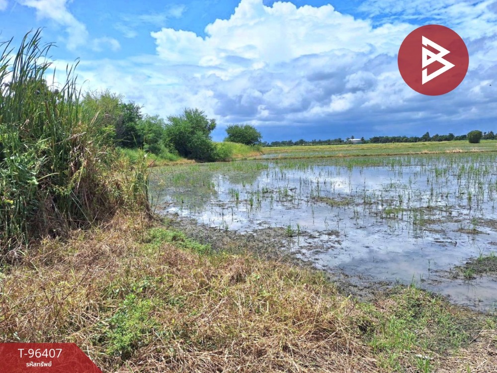 ขายที่ดิน เนื้อที่ 4 ไร่ หมู่บ้านสามหน่อ โคกโคเฒ่า สุพรรณบุรี