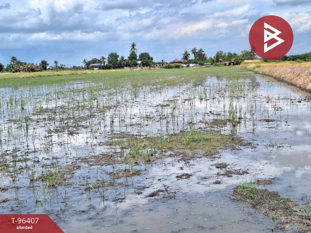 ขายที่ดิน เนื้อที่ 4 ไร่ หมู่บ้านสามหน่อ โคกโคเฒ่า สุพรรณบุรี