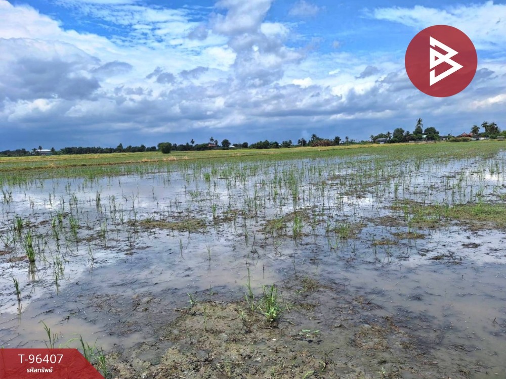 ขายที่ดิน เนื้อที่ 4 ไร่ หมู่บ้านสามหน่อ โคกโคเฒ่า สุพรรณบุรี