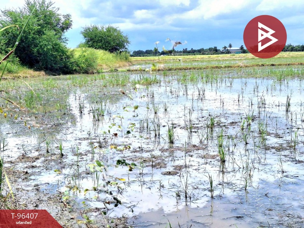 ขายที่ดิน เนื้อที่ 4 ไร่ หมู่บ้านสามหน่อ โคกโคเฒ่า สุพรรณบุรี