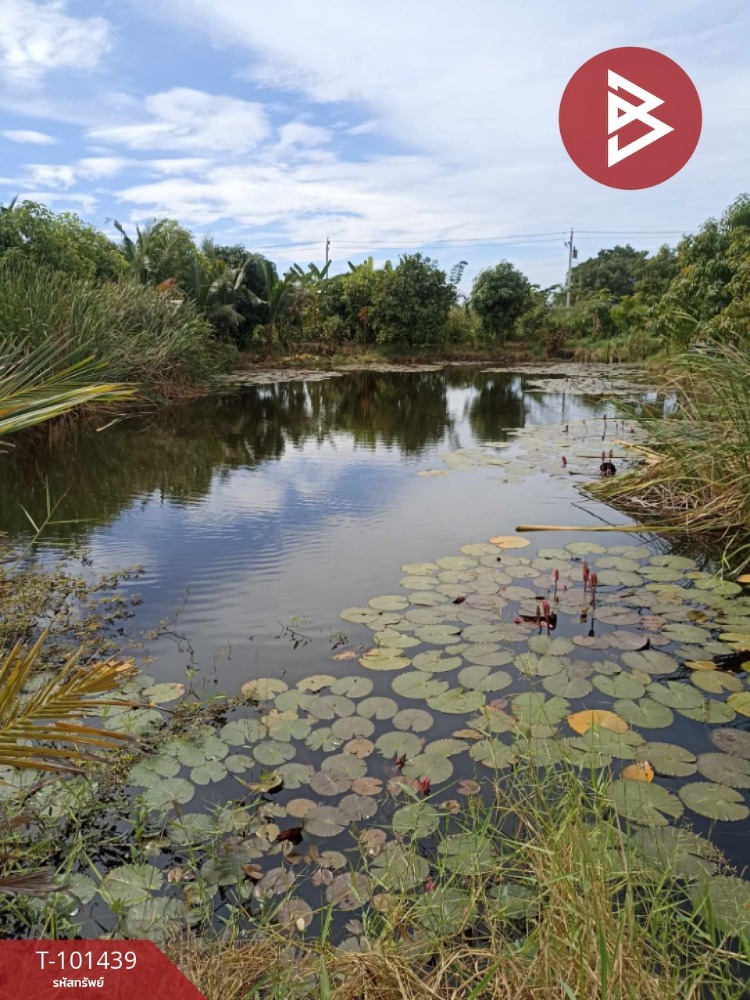 ขายที่ดินพร้อมสิ่งปลูกสร้าง เนื้อที่ 2 ไร่ ซอยวัดสุขใจ 19 กรุงเทพมหานคร