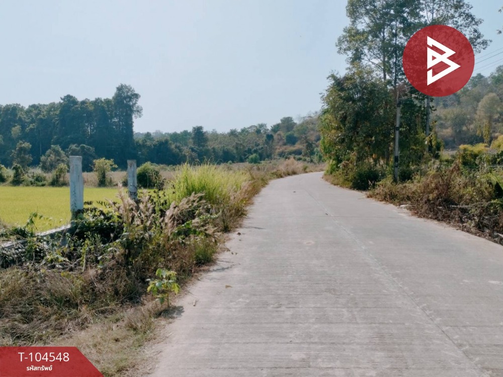 ขายที่ดินนา เนื้อที่ 8 ไร่ พรหมพิราม พิษณุโลก ติดถนนหมู่บ้านดงประคำ