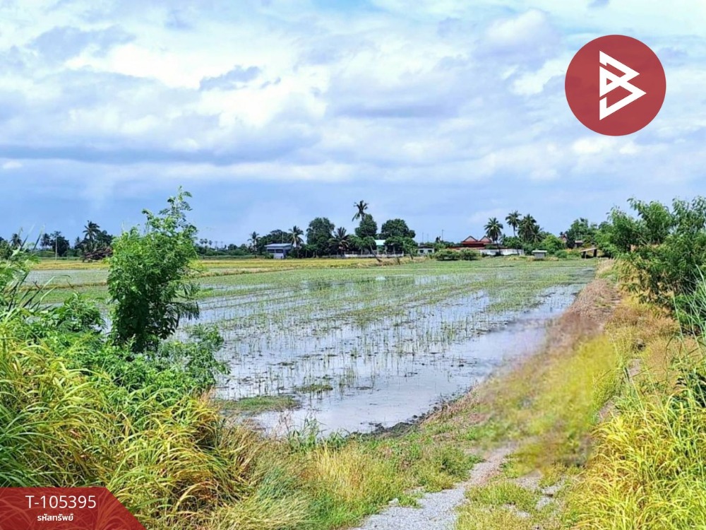 ขายที่ดินเปล่า เนื้อที่ 4 ไร่ โคกโคเฒ่า สุพรรณบุรี